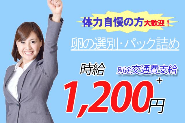 簡単！ニワトリの卵の選別スタッフ／時給￥1200／